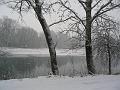 adda (57)